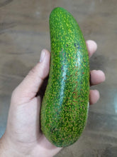 Cocktail Avocado "Seedless"