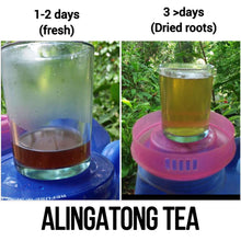 Alingatong Roots