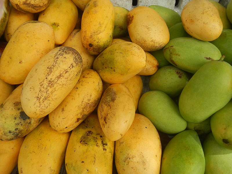 guimaras mango