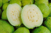 Guapple (Apple Guava)