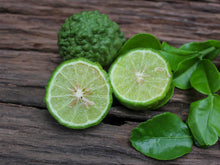 Kaffir Lime