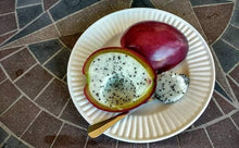 Peruvian Apple Cactus