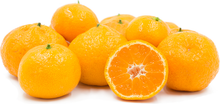Japanese (Satsuma) Tangerine