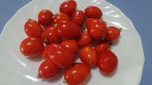 Australian Beach Cherry