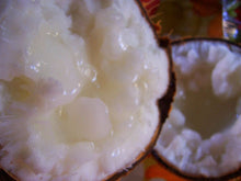 Embryo Cultured Macapuno (Mutant Coconut)
