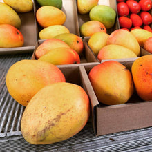 Australian R2E2 Mango