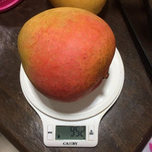 Australian R2E2 Mango