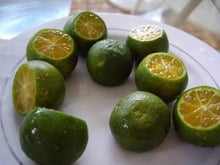 Luz "Seedless" Kalamansi (grafted)