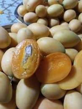 Maprang / Mango plum