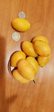 Maprang / Mango plum