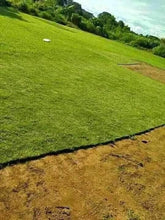 Bermuda Grass (per 100 square foot)