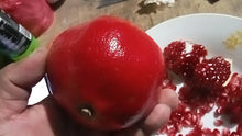 Black Pearl Soft-seeded Pomegranate