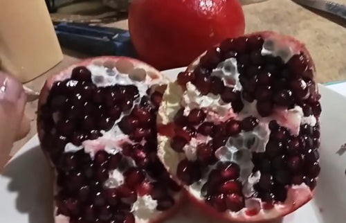 Black Pearl Soft-seeded Pomegranate