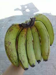 Bulungan Banana seedling