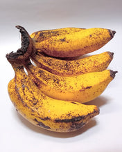 Latundan Banana (Suwi)