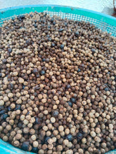 Molave seeds (per kilo)