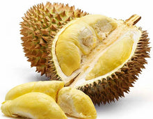 Durian (Monthong variety, grafted ~2ft)