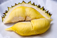 Durian (Monthong variety, grafted ~2ft)