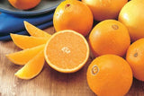 Navel Orange Grafted Seedlings ~2ft