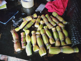 Hawaiian Hilo Buddha Sugarcane