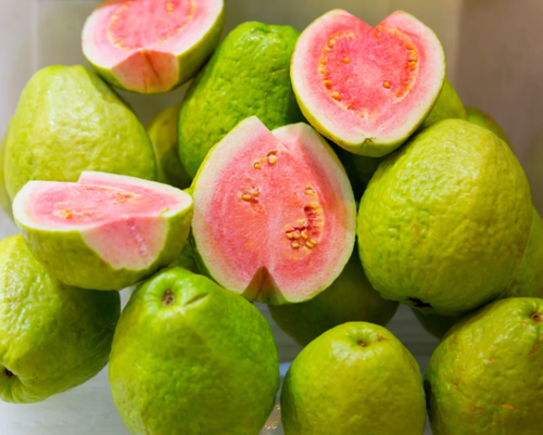 Guava - Taiwan Pink variety, grafted