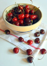 Ukrainian Cherry, grafted