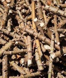 Golden Yellow Cassava cuttings (100's)