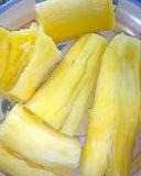 Golden Yellow Cassava cuttings (100's)