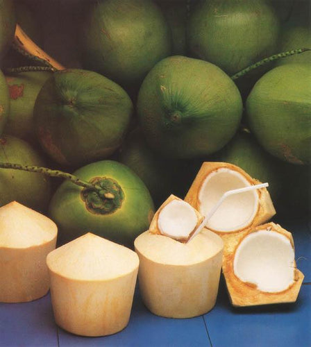 Aromatic Dwarf Coconut