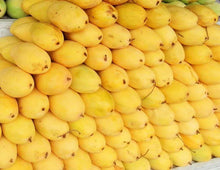 Carabao Mango
