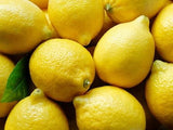 American Lemon Seedling