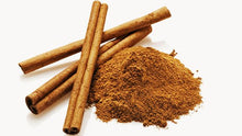 Cinnamon Seedling