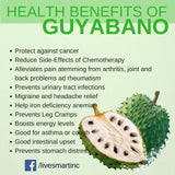 Sweet Guyabano