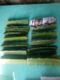 Dragon Fruit Cuttings (Magenta Flesh)