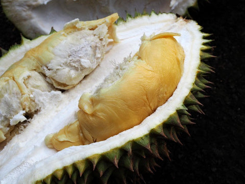 Durian Grafted Seedling (Musang King)
