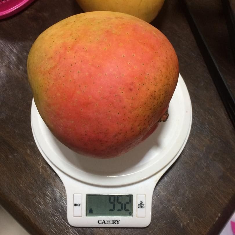 Australian Mango R2e2 Australian R2E2 Mango – Lunti Plant Nursery