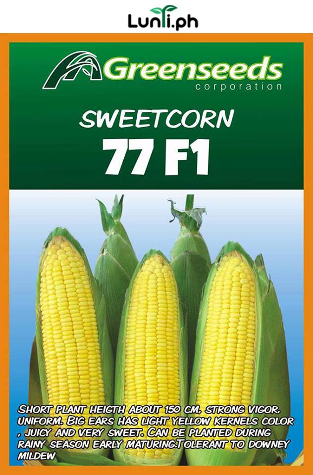 sweet corn seeds for planting Sweet Corn Seeds – Lunti Plant Nursery