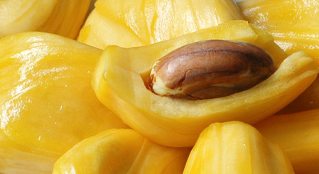 Langka / Jackfruit - J33 Malaysian Sweet Latexless