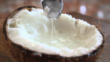 Embryo Cultured Macapuno (Mutant Coconut)