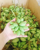 Paho Mango (Fruits)