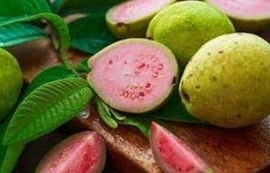 Guava - Hawaiian Pink variety