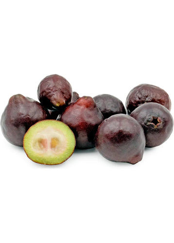 Purple Forest Guava