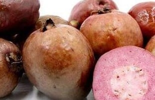 Malaysian Red Guava