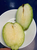Seedless Guava  (Marcotted)